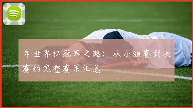 年世界杯冠军之路：从小组赛到决赛的完整赛果汇总